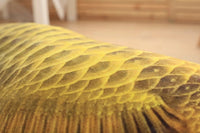 Gold Arowana Kelisa Yellow Croker Lifelike Fish Plush Toy Pillow